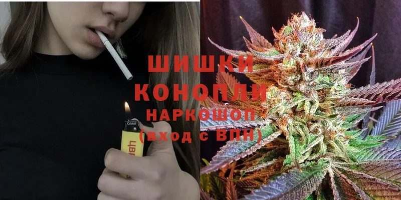 где купить наркоту  Пошехонье  Бошки марихуана OG Kush 